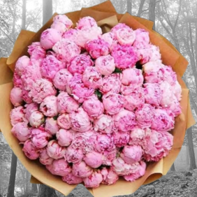  Alanya Flower 101 Peony Bouquet