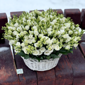  Alanya Flower Delivery 