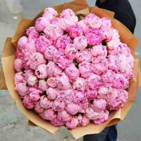  Alanya Flower 