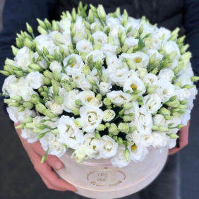 Alanya Florist 
