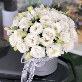 Alanya Florist 