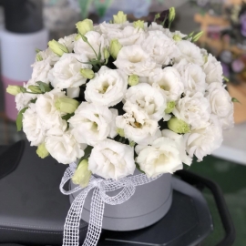 Alanya Florist Flowers 45