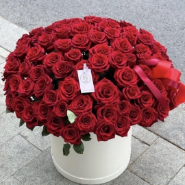 Alanya Florist 